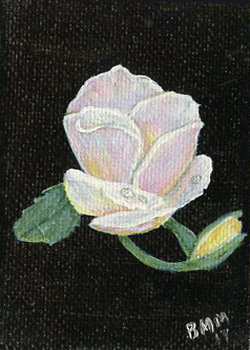Gently Pink Beverly M McCormick Kennan WI acrylic  SOLD